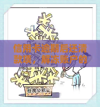 信用卡逾期后还清款项，解冻账户的完整步骤与注意事项