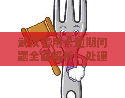 武汉信用卡逾期问题全面解析：处理方法、影响及解决方案一网打尽