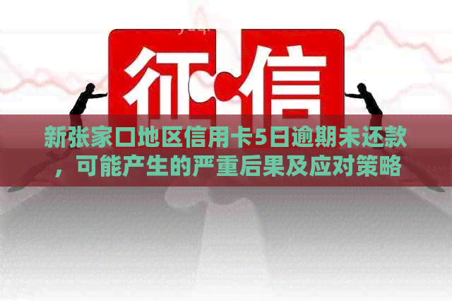 新张家口地区信用卡5日逾期未还款，可能产生的严重后果及应对策略
