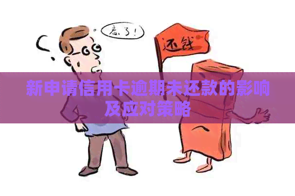 新申请信用卡逾期未还款的影响及应对策略