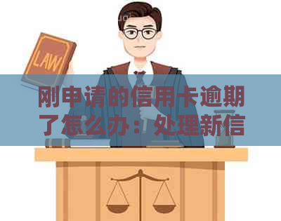 刚申请的信用卡逾期了怎么办：处理新信用卡逾期问题指南