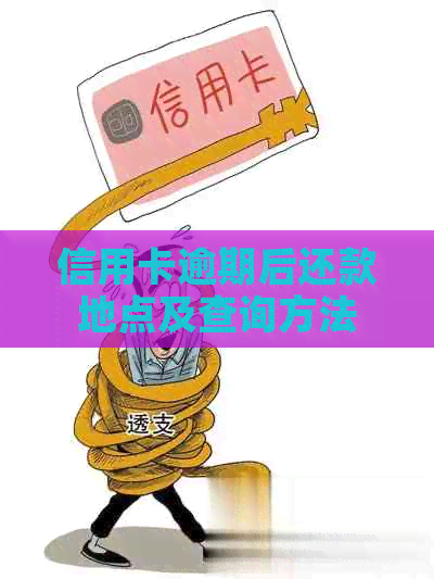 信用卡逾期后还款地点及查询方法