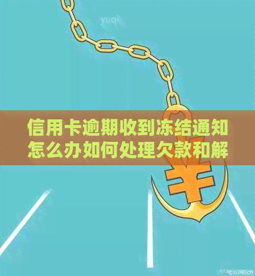 信用卡逾期收到冻结通知怎么办如何处理欠款和解冻银行卡？