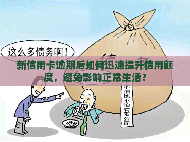 新信用卡逾期后如何迅速提升信用额度，避免影响正常生活？