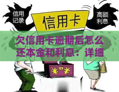 欠信用卡逾期后怎么还本金和利息：详细指南与后果分析
