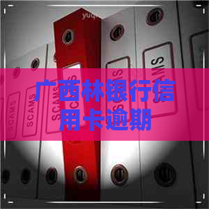 广西林银行信用卡逾期