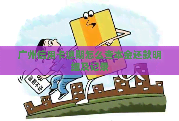 广州信用卡逾期怎么查本金还款明细及记录