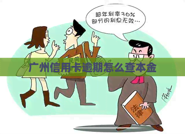 广州信用卡逾期怎么查本金
