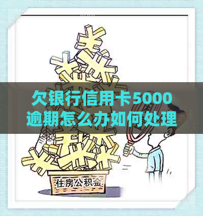 欠银行信用卡5000逾期怎么办如何处理？