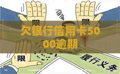 欠银行信用卡5000逾期