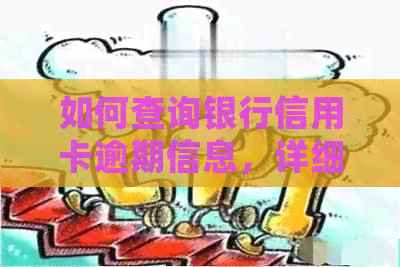 如何查询银行信用卡逾期信息，详细步骤解析