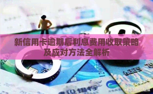 新信用卡逾期后利息费用收取策略及应对方法全解析