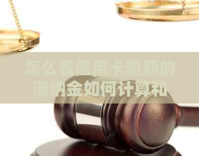 怎么看信用卡逾期的滞纳金如何计算和查询，以及具体时间和欠款情况。