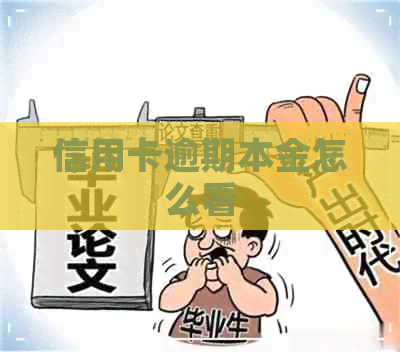信用卡逾期本金怎么看