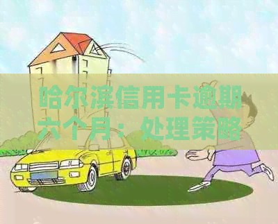 哈尔滨信用卡逾期六个月：处理策略与影响分析