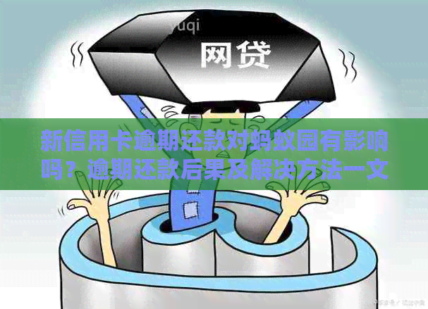 新信用卡逾期还款对蚂蚁园有影响吗？逾期还款后果及解决方法一文解析
