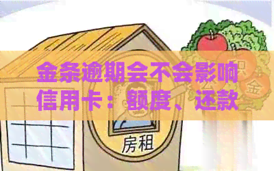 金条逾期会不会影响信用卡：额度、还款及全解析