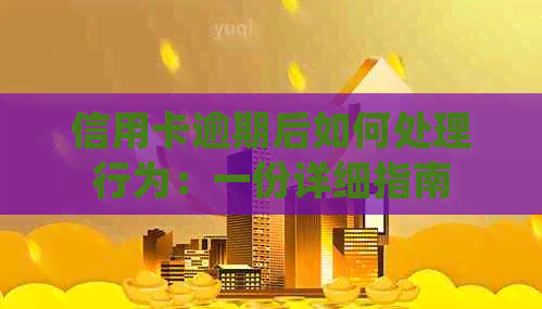 信用卡逾期后如何处理行为：一份详细指南