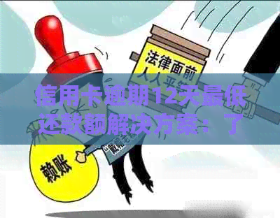 信用卡逾期12天更低还款额解决方案：了解后果及如何妥善处理