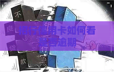招行信用卡如何看是否逾期
