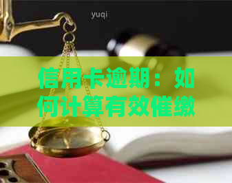 信用卡逾期：如何计算有效催缴时间和策略？