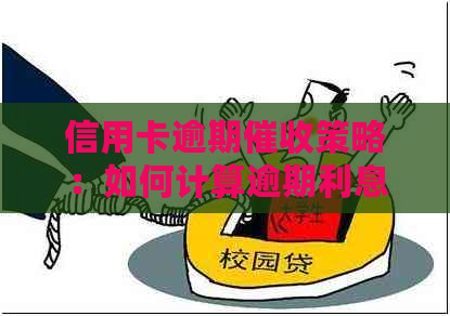 信用卡逾期策略：如何计算逾期利息和成功催缴的关键步骤