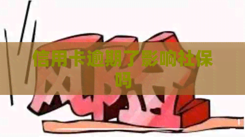 信用卡逾期了影响社保吗