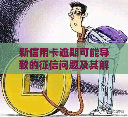 新信用卡逾期可能导致的问题及其解决方案