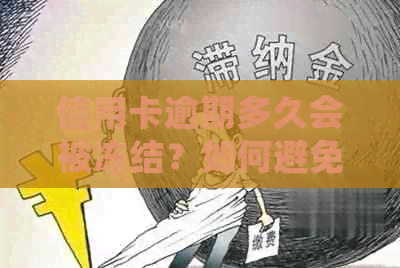 信用卡逾期多久会被冻结？如何避免信用额度被冻结？了解详细情况