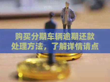 购买分期车辆逾期还款处理方法，了解详情请点击。