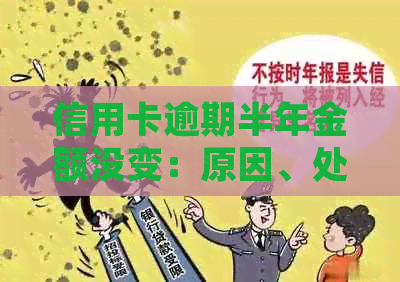 信用卡逾期半年金额没变：原因、处理及影响