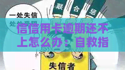 信信用卡逾期还不上怎么办：自救指南与后果分析