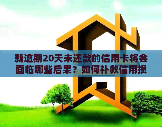 新逾期20天未还款的信用卡将会面临哪些后果？如何补救信用损失？