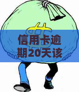 信用卡逾期20天该怎么办？逾期还款后果及解决办法全面解析