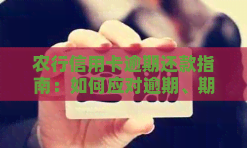 农行信用卡逾期还款指南：如何应对逾期、期还款以及相关罚息和影响