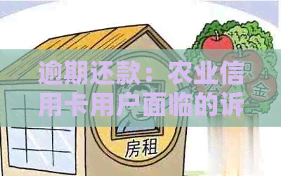 逾期还款：农业信用卡用户面临的诉讼风险及解决方案