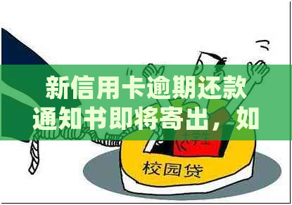 新信用卡逾期还款通知书即将寄出，如何妥善处理并避免不良信用记录？
