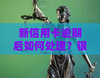 新信用卡逾期后如何处理？银行分期还款攻略大揭秘！