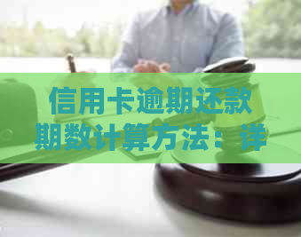 信用卡逾期还款期数计算方法：详细步骤与注意事项