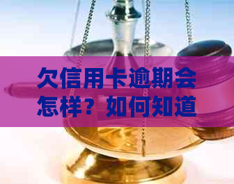 欠信用卡逾期会怎样？如何知道减免利息真伪？自救办法来了！