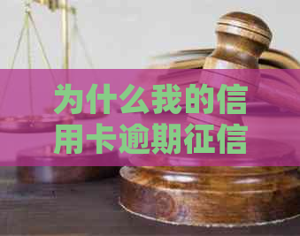 为什么我的信用卡逾期报告没有查到记录，我该如何处理？
