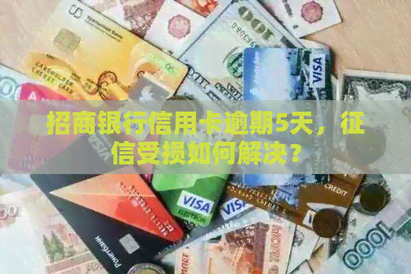招商银行信用卡逾期5天，受损如何解决？