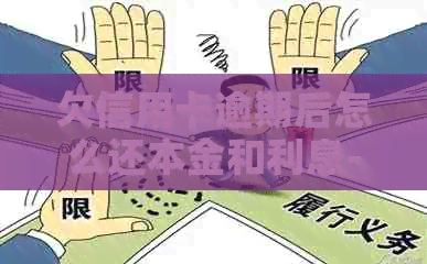 欠信用卡逾期后怎么还本金和利息-欠信用卡逾期后怎么还本金和利息呢