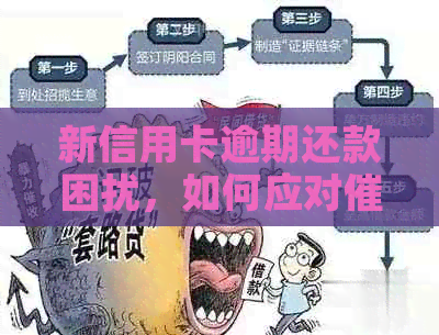 新信用卡逾期还款困扰，如何应对与利息问题？