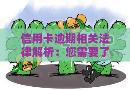 信用卡逾期相关法律解析：您需要了解的所有重要事项