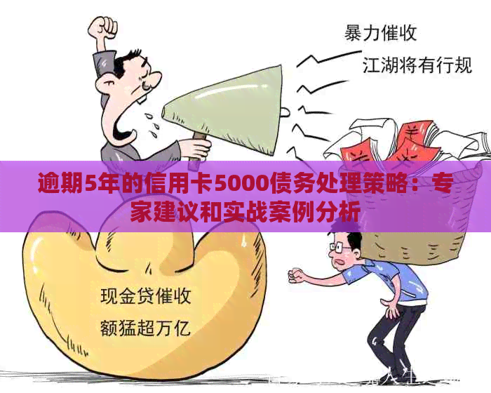逾期5年的信用卡5000债务处理策略：专家建议和实战案例分析