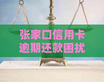 张家口信用卡逾期还款困扰，专家教你如何应对