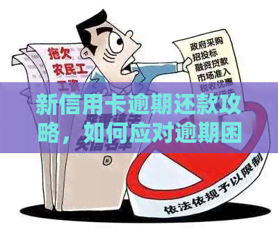 新信用卡逾期还款攻略，如何应对逾期困扰？