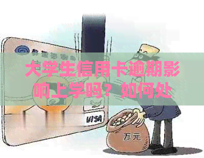 大学生信用卡逾期影响上学吗？如何处理与上相关问题