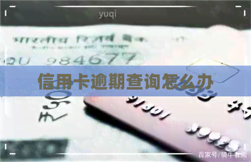 信用卡逾期查询怎么办